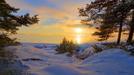 sunset lake in winter - lake, trees, snow, winter, sunset, shore