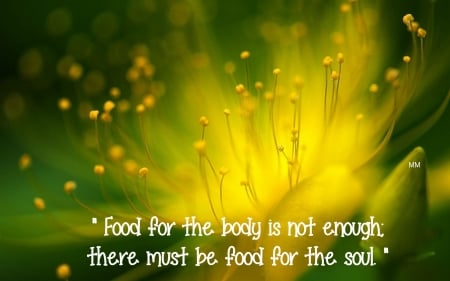 Food - Quotes, Words, Nature, macro, Thoughts, Flower