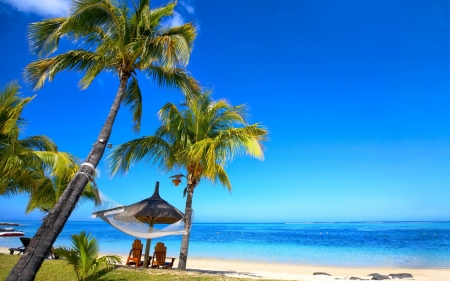 Tropical Beach - beach, ocean, tree, tropical