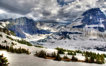 Snow Mountain - winter, tree, mountain, snow