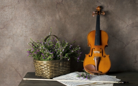 Violin - music, instrument, violin, joy