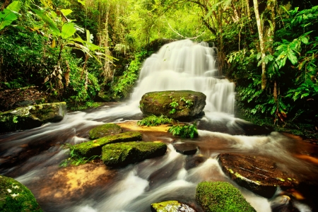 Forest waterafll - greenery, cascades, trees, waterfall, beautiful, forest, stones