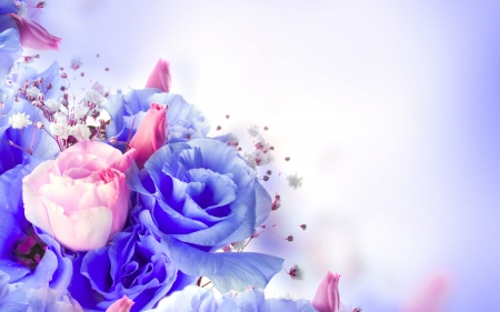 Flowers - white, blue, flower, pink