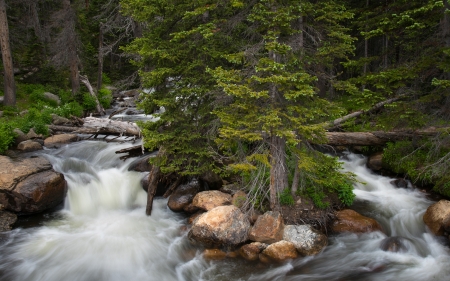 River - nature, rock, tree, river