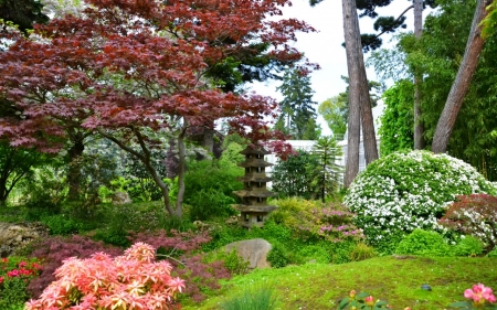 Japanese Graden - garden, flower, tree, japanese