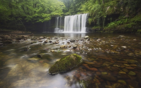 Waterfall - Jungle, forest, nature, tree