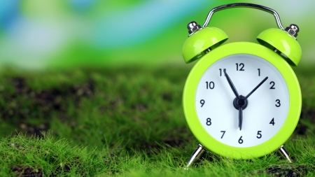 *clock time * - morning, hours, time, alarm clock, grass