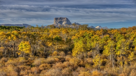 fantastic savanna hdr - trees, savanna, mountain, clouds, hdr, brushes