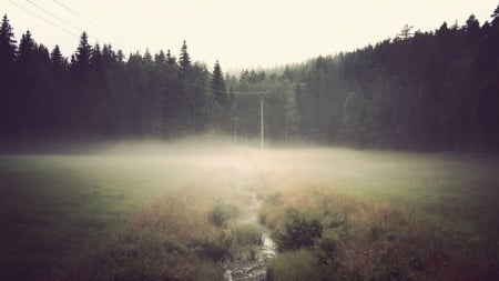 Misty Fields - nature, fields, forests, fog, misty