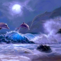 Dolphin Kingdom