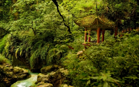 RIver - nature, tree, grass, river