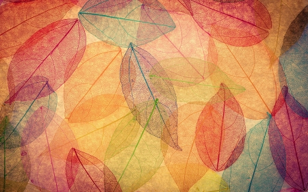 Texture - red, paper, pattern, leaf, orange, texture, autumn, green