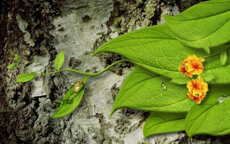 Relax - wood, frog, orange, green, leaf, flower, relax