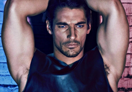 David Gandy - pink, blue, man, david gandy, black, model