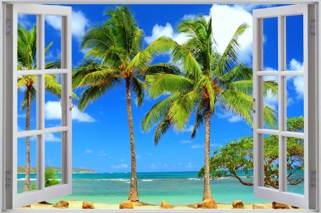 Tropical view - sands, beach, sky, ocean, paradise, palms, summer, tropical, view, window, beautiful, sea