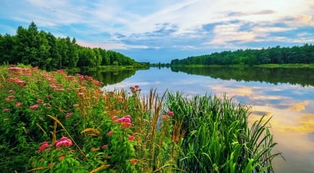 Calm river - sky, lake, serenity, tranquility, calm, reflection, river, beautiful, grass, wildflowers