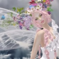 Sweet Fairy