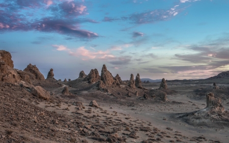 Desert - nature, tree, desert, sand