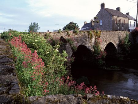 River Boyne County Meath, Ireland - ireland, river, flowers, house, bridge