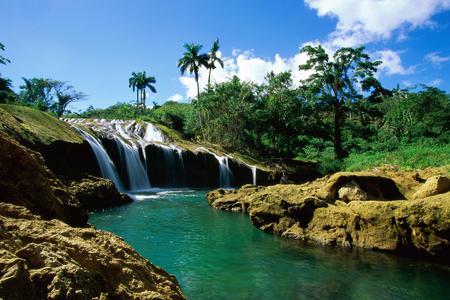 Along the river - palm trees, tropical, waterfall, river