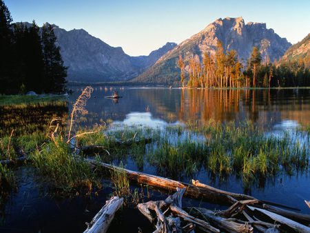 Jackson Lake at sunrise - wyoming, national park, sunrise, lake