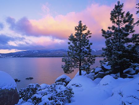 Colours of Winter - lake, trees, clouds, snow, winter