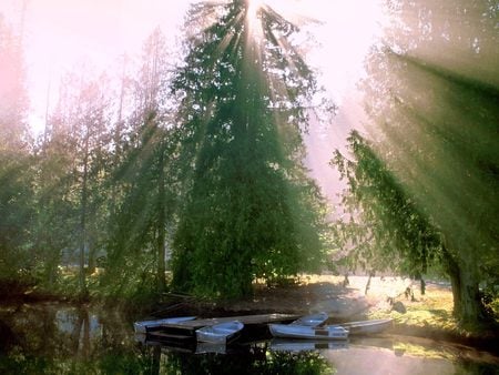 A Promising Morning - sunlight, river, trees, morning, washington