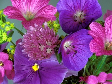 Garden Delights - mauve flowers, pink, garden