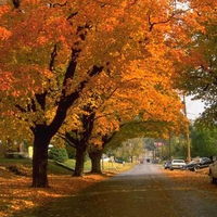 Fall Road