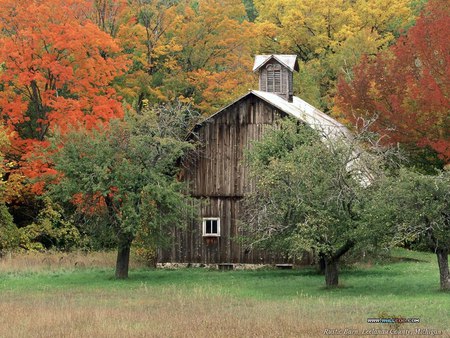 Cabin in the woods - autumn foliage, log cabin, woods