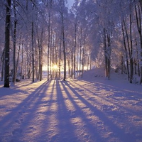 Winter Sunset