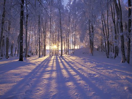 Winter Sunset - white north, trees, winter, snow, alaska, ice, sunset, frost, arctic