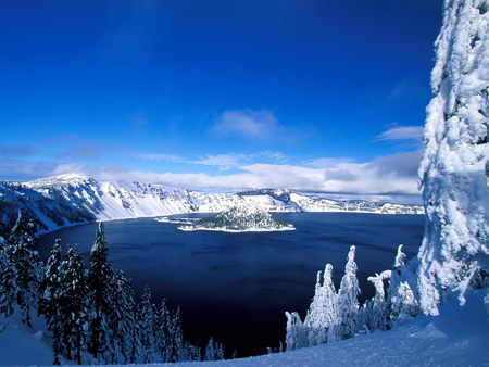 Winter Landscape - white north, trees, winter, blue, snow, landscape, skies, ice, nature, frost, lake