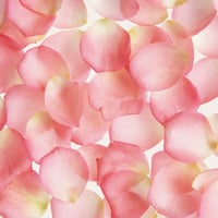 Floating petals of pink