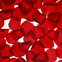 Red Rose Petals