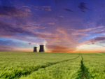 Green Wheat Fields