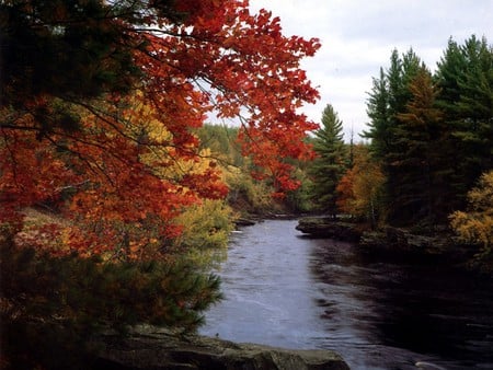 autumnsupreme - fall, nature, river, autumn