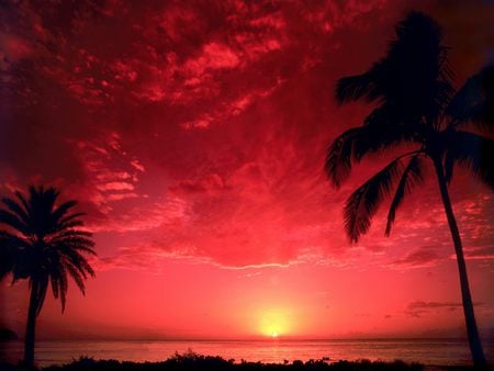 red sunset cocoa beach - landscape, beach, sky