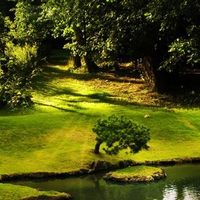 ZEN GARDEN