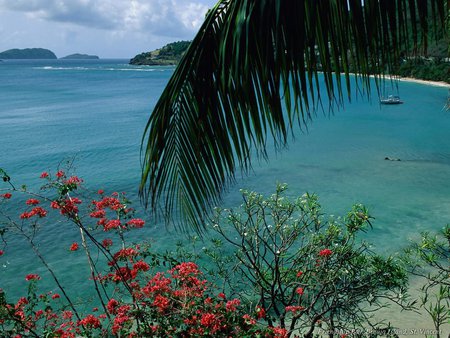 Beautiful Beach - beach, sky, landscape