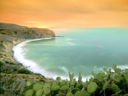 cactus sunrise  palos verde peninsula  california - beach, sky, landscape