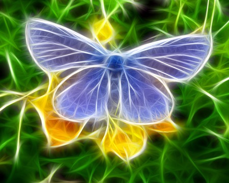 Neon Butterfly - butterfly, abstract, 3d, art