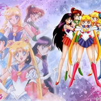 The Sailor Senshi