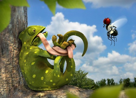 Karate Fly - funny, captivity, fantasy, bee, abstract, 3d, digiart, chameleon, fly