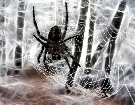 Spider Web - web, spider, abstract, fantasy, digiart, 3d