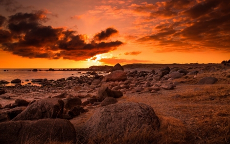 Sunset - Sunset, nature, beach, tree