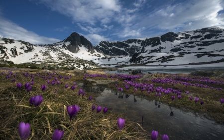 Mountain - water, mountain, snow, river