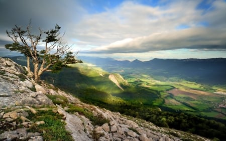 Sky - cloud, sky, tree, nature