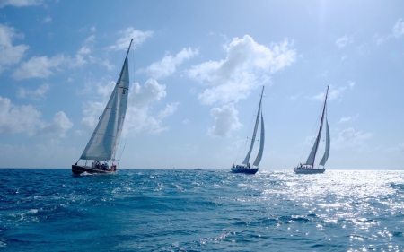 Yacht - sail, ocean, Yacht, sky