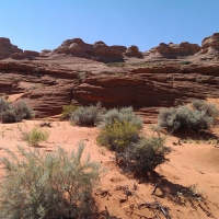 Glen Canyon, Arizona